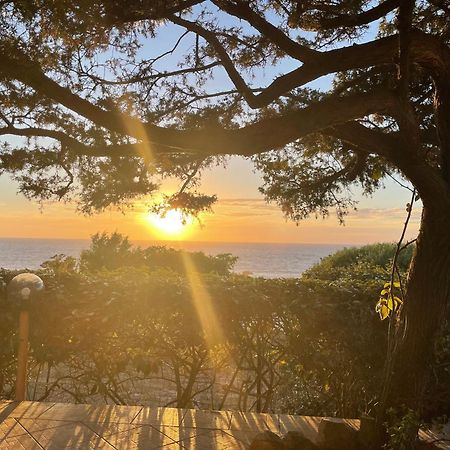 Villetta Dei Ginepri Costa Paradiso Bagian luar foto