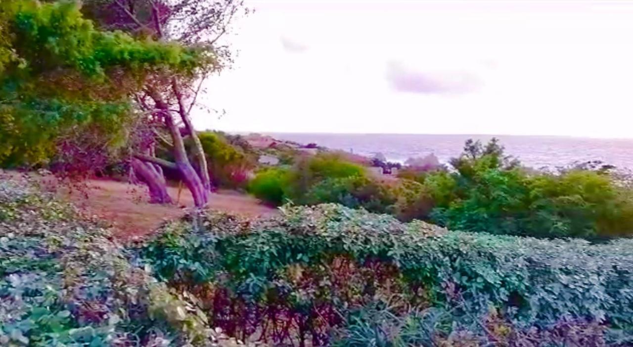 Villetta Dei Ginepri Costa Paradiso Bagian luar foto