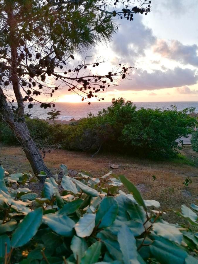 Villetta Dei Ginepri Costa Paradiso Bagian luar foto