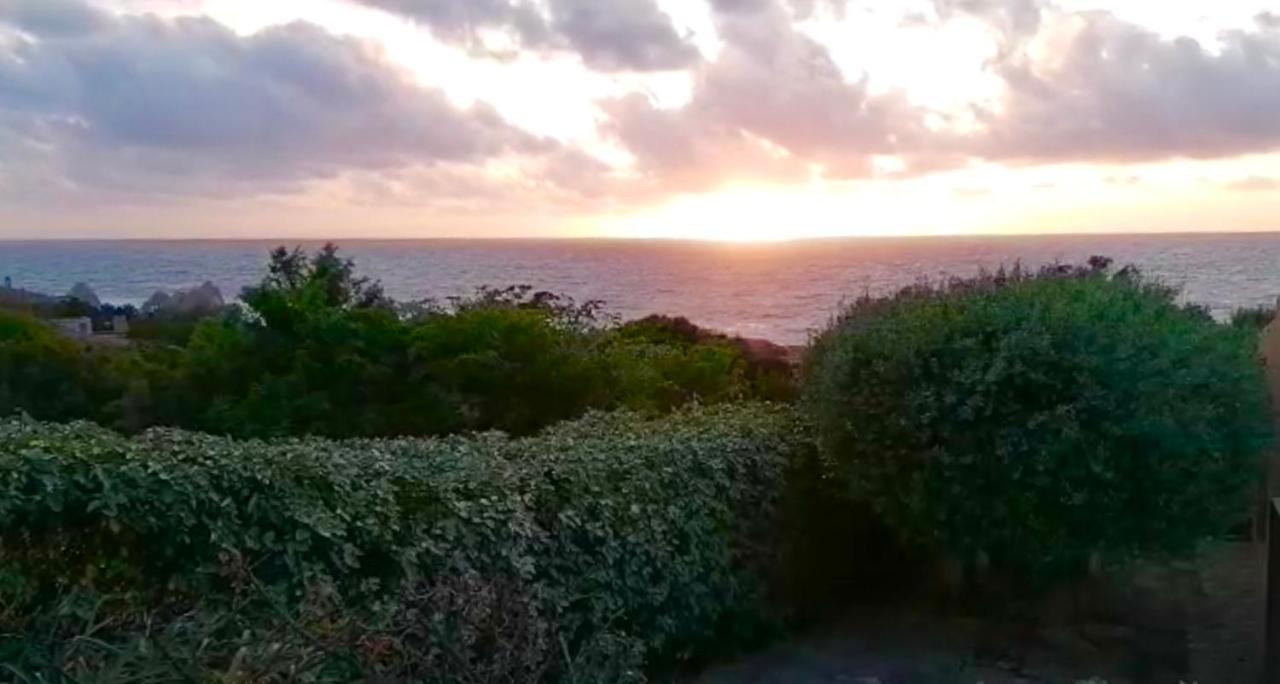 Villetta Dei Ginepri Costa Paradiso Bagian luar foto