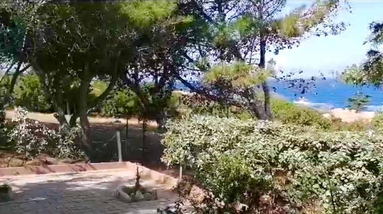 Villetta Dei Ginepri Costa Paradiso Bagian luar foto