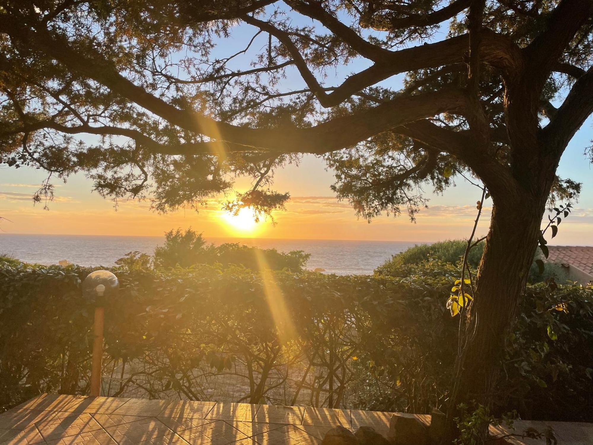 Villetta Dei Ginepri Costa Paradiso Bagian luar foto